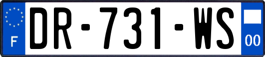 DR-731-WS
