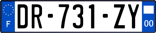 DR-731-ZY