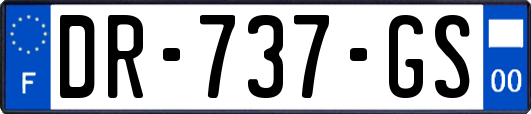 DR-737-GS