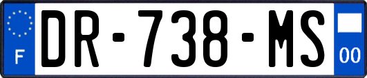 DR-738-MS