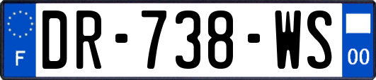 DR-738-WS