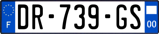 DR-739-GS