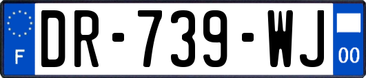 DR-739-WJ