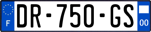 DR-750-GS