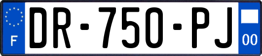 DR-750-PJ