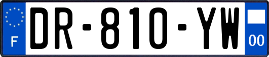 DR-810-YW