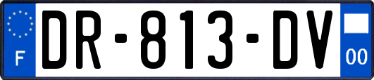 DR-813-DV