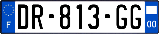 DR-813-GG