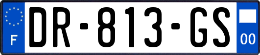DR-813-GS