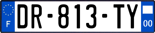 DR-813-TY