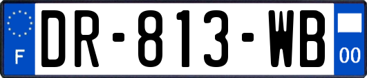 DR-813-WB