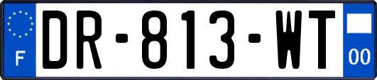 DR-813-WT