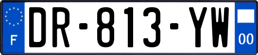 DR-813-YW