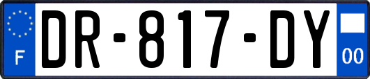 DR-817-DY