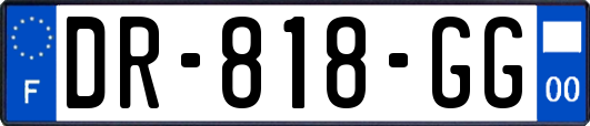 DR-818-GG