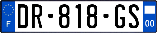 DR-818-GS