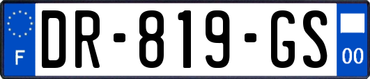 DR-819-GS