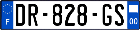 DR-828-GS