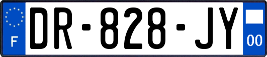 DR-828-JY