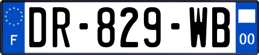 DR-829-WB