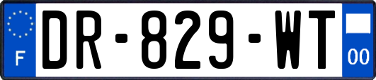 DR-829-WT