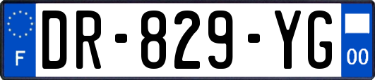 DR-829-YG