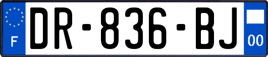 DR-836-BJ