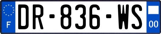 DR-836-WS