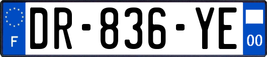 DR-836-YE