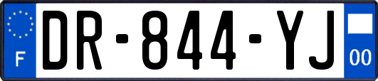 DR-844-YJ