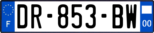 DR-853-BW