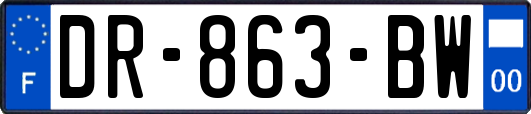 DR-863-BW