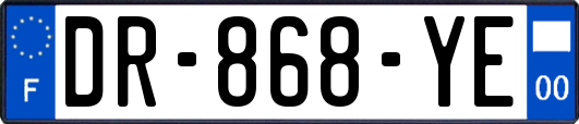DR-868-YE