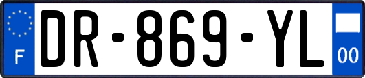 DR-869-YL