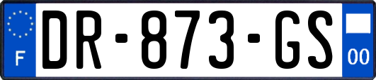 DR-873-GS