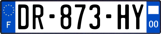 DR-873-HY