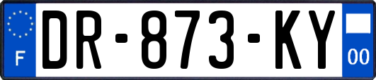 DR-873-KY