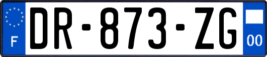 DR-873-ZG