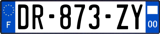 DR-873-ZY