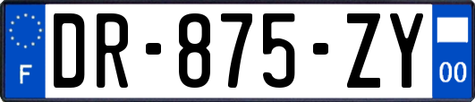 DR-875-ZY