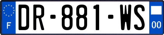 DR-881-WS