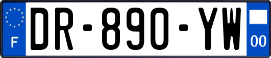 DR-890-YW