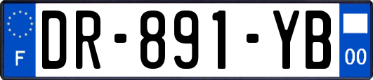 DR-891-YB