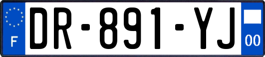 DR-891-YJ