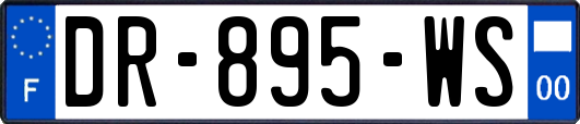 DR-895-WS