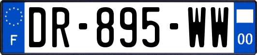 DR-895-WW