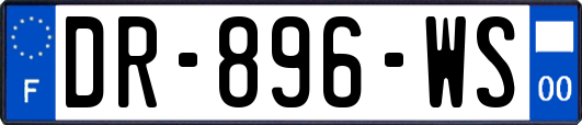 DR-896-WS