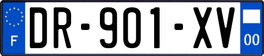 DR-901-XV