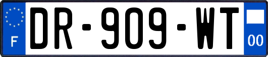 DR-909-WT