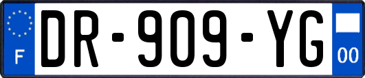 DR-909-YG